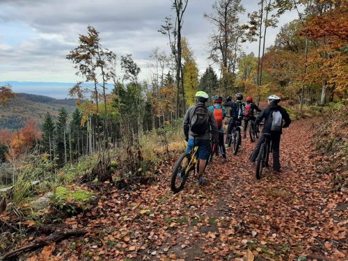 Photographie du Circuit des Myrtilles, plusieurs cyclistes arrêtés qui admirent le paysage en forêt