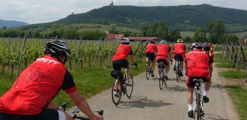 Photographie du Circuit des Myrtilles, plusieurs cyclistes à à vélo sur une route traversant des vignes avec les châteaux en fond