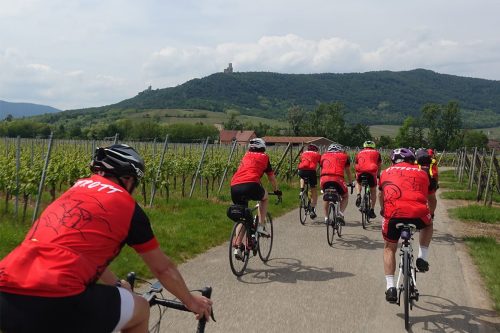 Photographie d'un groupe de cycliste au milieu des vignes, avec les château en fond