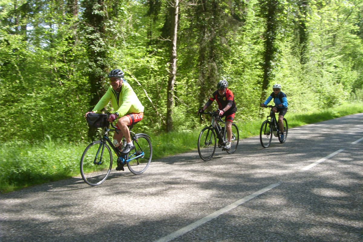 Photographie de trois cyclistes à vélo sur une route au milieu de la forêt