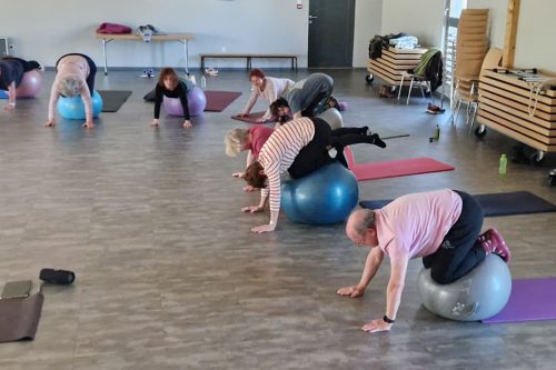 Photographie d'un groupe de l'activité Pilates en intérieur sur de gros ballons