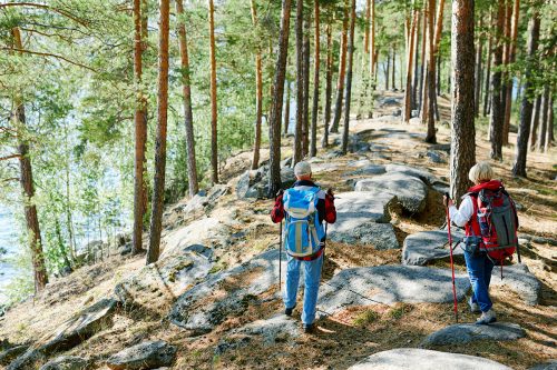 Photographie de deux randonneurs avec des sacs à dos de randonnées, vus de dos, en trains de marcher sur des rochers en forêt