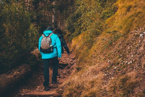 Photographie de deux personnes en train de marcher sur un sentier de forêt
