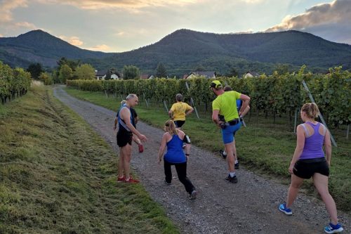 Photographie de membres de l'activité running, en train de s'échauffer au milieu des vignes