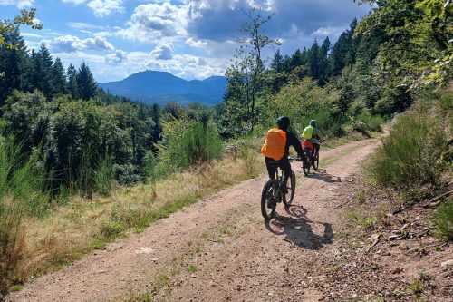 Photographie de deux cyclistes à vélo regardant le paysage