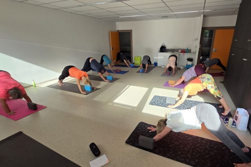 Photographie d'un groupe pendant l'activité Yoga dans la position du "Downward Dog", autre angle