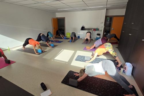 Photographie d'un groupe pendant l'activité Yoga dans la position du "Downward Dog"