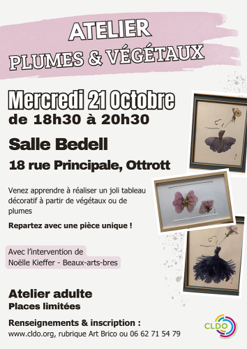 cldo atelier plumes vegetaux
